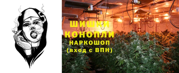 ALPHA PVP Беломорск