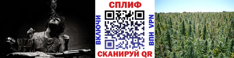 где можно купить наркотик Морозовск Канабис индика